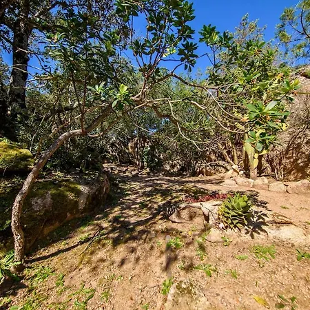 Apartament San Pantaleo Stazzu Maccu-nature Retreat By Mmhs