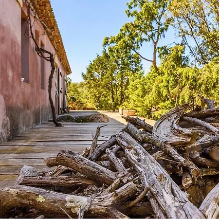 Apartament San Pantaleo Stazzu Maccu-nature Retreat By Mmhs *