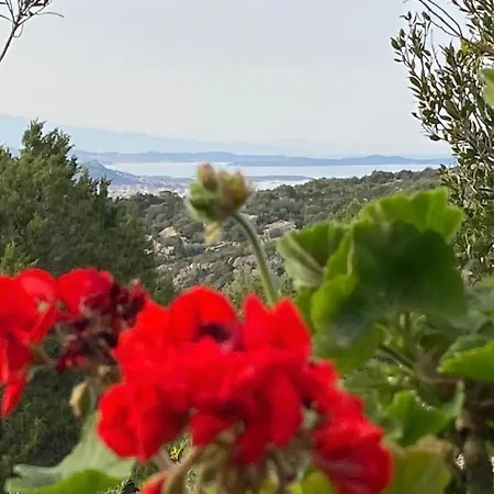 Apartament San Pantaleo Stazzu Maccu-nature Retreat By Mmhs